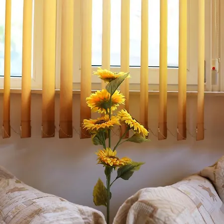 Spacious, Cosy & Bright 2 Bedroom, Central Apartman